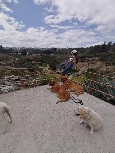 Fakali Homestay Quito Kültér fotó